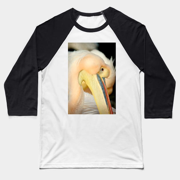 Proud Of Its Beak Baseball T-Shirt by AlexaZari